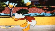 Kaczor Donald - Bejzi Daisy Reverse