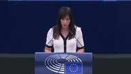 Debata na temat Ukrainy w parlamencie europejskim (Ewa Zajączkowska)