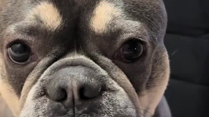 Moje postanowienie noworoczne.