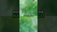 Tajemnice zaginięcie siedemdziesięcioletniego mężczyzny