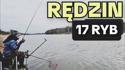 655 RĘDZIN - WROCŁAWSKI FEEDER DALEJ NA ZIMOWO