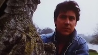 Shakin Stevens - You Drive Me Crazy (Official HD Video)