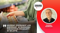 Paweł Rawicki: Omijamy szerokim łukiem jajka trójki