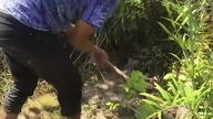 Cambodia life# Amazing Man Catch Snake Using The Bottle Trap How to Catch Snake Catch snake Trap