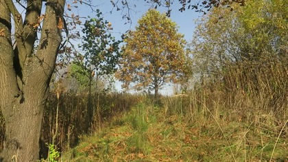 Spokój Cisza Relaks na ogrodzie 27. 10. 2020