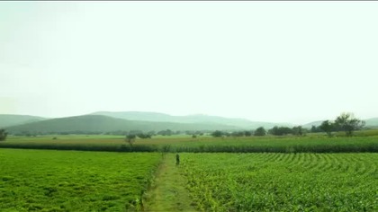 El vuelo de la Victoria 053 NAPISY PL