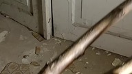 Jak wygląda noc profesjonalnego łowcy duchów? #shorts