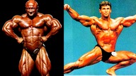 Polacy Na Mr Olympia