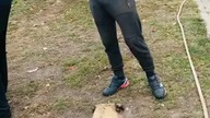 Tak się kończy zaczepianie pieska.