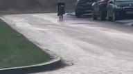 Gdy jedziesz rowerem, a jest gołoledź.  Zimą nie jest łatwo.  Oglądajcie do końca.