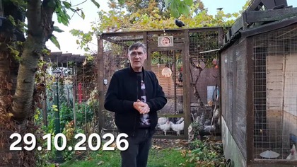 Październikowy spacer i kury na wybiegu #W Garden kuRaż 500