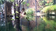 AFRYKARIUM WROCŁAW 13 08 2023 (17)