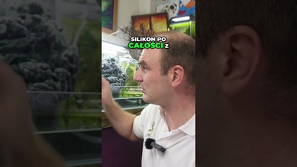 Gotowe akwapaludarium.  Czy da się wyjąć dekoracje ?