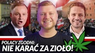 POLACY ZDECYDOWANIE PRZECIW KARANIU ZA MARIHUANĘ! MAMY WYNIKI LEGITNEGO SONDAŻU KANTAR