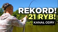 593 REKORD POPRAWIONY! 21 RZECZNYCH RYB! PODWROCŁAWSKI KANAŁ.