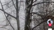 dziewczyno pamiętaj ...  #music #dance