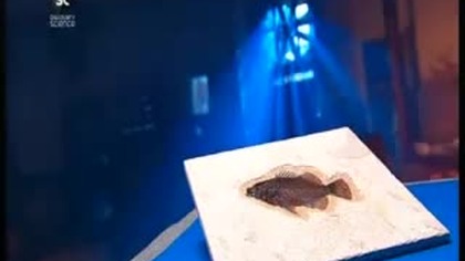 Jak to jest zrobione - Skamieniałości [Lektor PL]