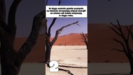 3 CIEKAWOSTKI O KTÓRYCH MOGŁEŚ NIE MIEĆ POJĘCIA CZ. 5