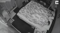Uroki posiadania królika