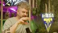 NAJLEPSZE IMPREZY KONOPNE W EUROPIE