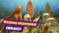 EDIAKAR - fauna ediakarska, superkontynent Pannocja - Historia Ziemi #3. 1