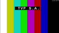 TVP1 - 01-01-2022 - Start programu (testcard + pauza), Reklama