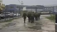 Szur szur