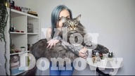 VLOG domowy #36 czy bedzie film o Aliexpress? 11.11