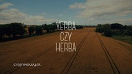 Czy można przedawkować yerba mate? Boli mnie głowa po yerbie. Czajnikowy.pl
