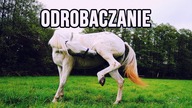 ODROBACZANIE