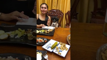 Kotlet dla psa #labrador