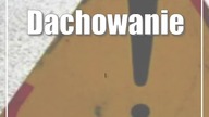 Dachowanie w Zofiówce