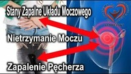 Stany Zapalne Układu Moczowego, Nietrzymanie Moczu, Zapalenie Pęcherza.  Jakie przyczyny.