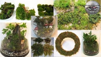 Jak domowym sposobem utrwalić mech do dekoracji - Pomysły Plastyczne DiY