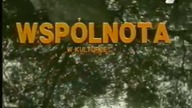 Wsp&oacute;lnota w kulturze.  Dokument