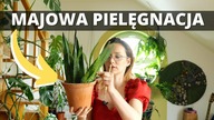 Jak dbać o rośliny domowe w MAJU? Roślinne aktualizacje Plant Tour
