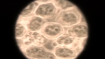 4 The Outer Limits.  4.  19