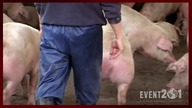 Event 201. Pandemic Exercise_ Highlights Reel