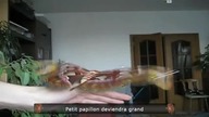 Le Zap de Spi0n n°154