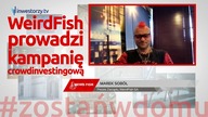 WeirdFish prowadzi kampanię crowdinvestingową