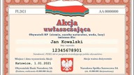 Polska to najbogatszy kraj Europy i będziemy z tego korzystać ! Wspieraj OKOPZN i własny dobrobyt !
