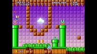 Mario Forever Traveling and Touring Hardcore SakuraMotchi 2020