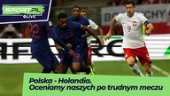 Polska - Holandia.  Oceniamy naszych po trudnym meczu