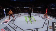 Conor McGregor vs.  Eddie Alvarez UFC 205