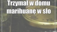 Trzymał w domu marihuanę w słoikach.  Grozi mu do 20 lat więzienia