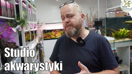 Studio Akwarystyki Roślinnej Green Art  #akwarium #aquascape