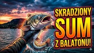 Sum, Balaton, polityka i renaturyzacja działkowców z Siekierek