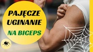 CHCESZ MIEĆ WYRZEŹBIONE BICEPSY?  ZRÓB SPIDER CURL # PAJĘCZE UGINANIE z HANTLAMI