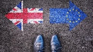 Brytyjczycy Zdecydują. May Podała Termin Głosowania Nad Umową Brexitową.