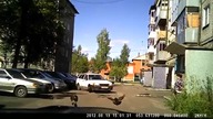 Kobieta parkuje samoch&oacute;d